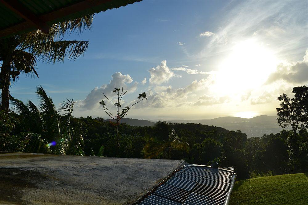 El Hotelito At The Rainforest Experience Farm Fajardo Eksteriør billede
