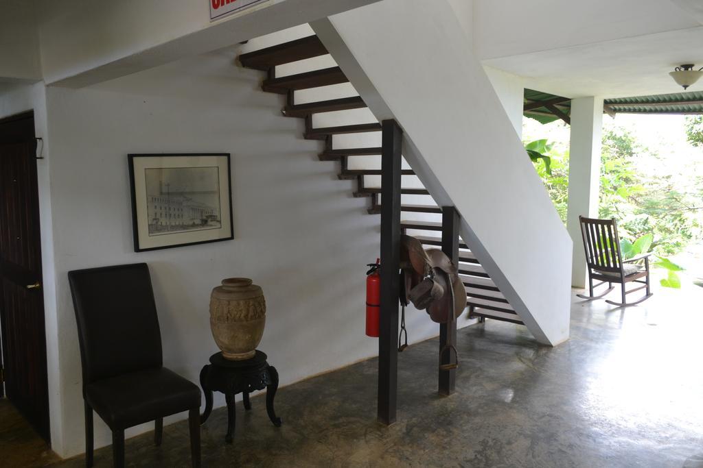 El Hotelito At The Rainforest Experience Farm Fajardo Eksteriør billede