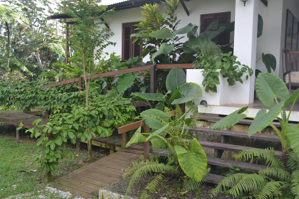 El Hotelito At The Rainforest Experience Farm Fajardo Eksteriør billede