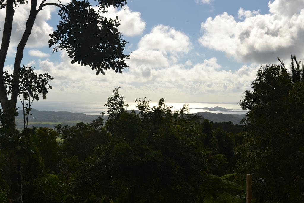 El Hotelito At The Rainforest Experience Farm Fajardo Eksteriør billede