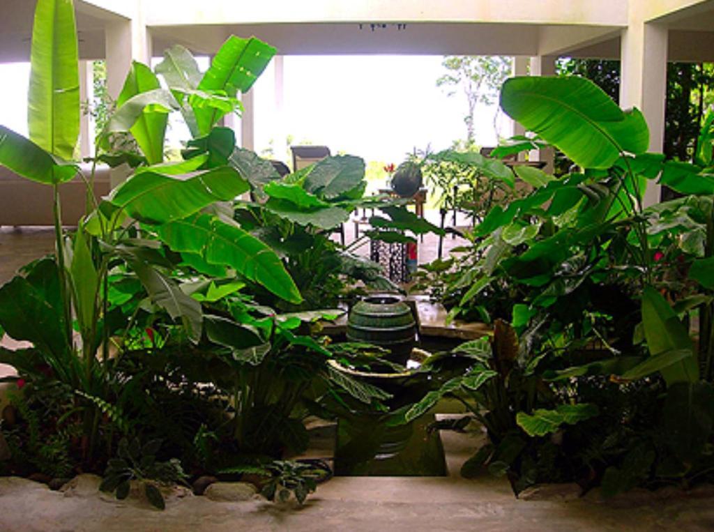 El Hotelito At The Rainforest Experience Farm Fajardo Eksteriør billede