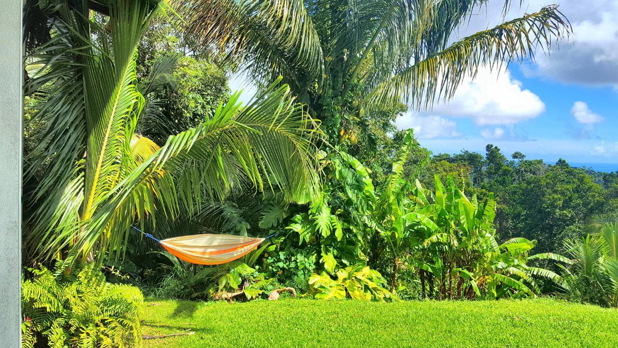 El Hotelito At The Rainforest Experience Farm Fajardo Eksteriør billede